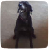 Carly's Picture Here